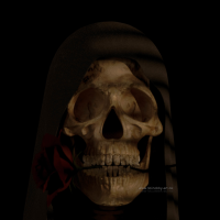 Skull Rose