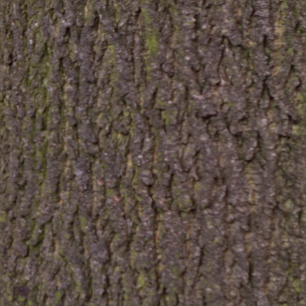 bark V1