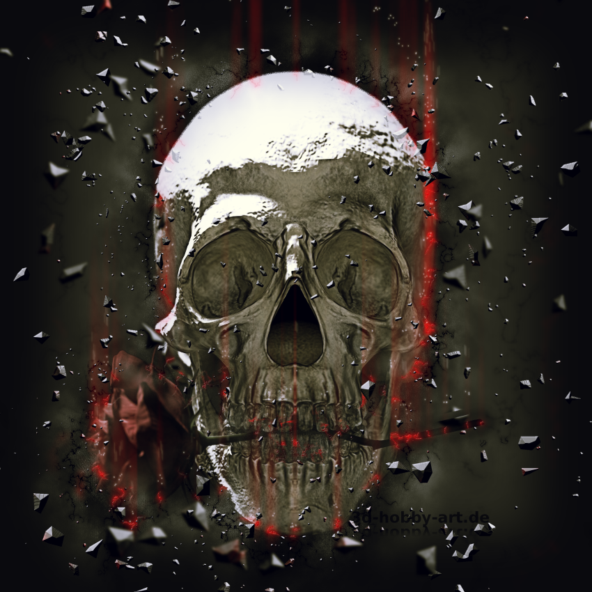 Skull - Rose